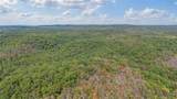 80 +/- Acres Proctor Lane - Photo 5