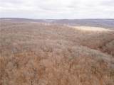 80 +/- Acres Proctor Lane - Photo 53
