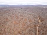 80 +/- Acres Proctor Lane - Photo 58