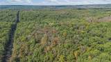 80 +/- Acres Proctor Lane - Photo 7