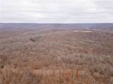 80 +/- Acres Proctor Lane - Photo 68