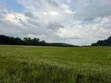 10.66 Acres M/L 800 Road - Photo 3
