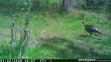 18306 Ozark Lane - Photo 14