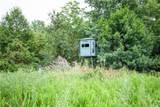 0000 660th Avenue - Photo 6