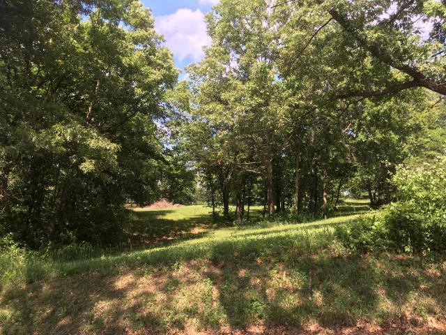 1085 Lake Viking Terrace - Photo 1