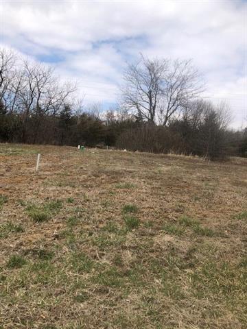 12708 Woodland Avenue - Photo 1