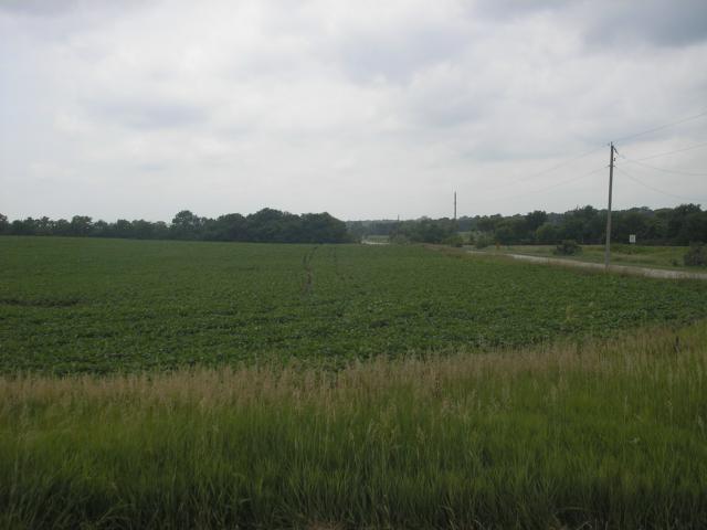 Lackman & 207th Street - Photo 1