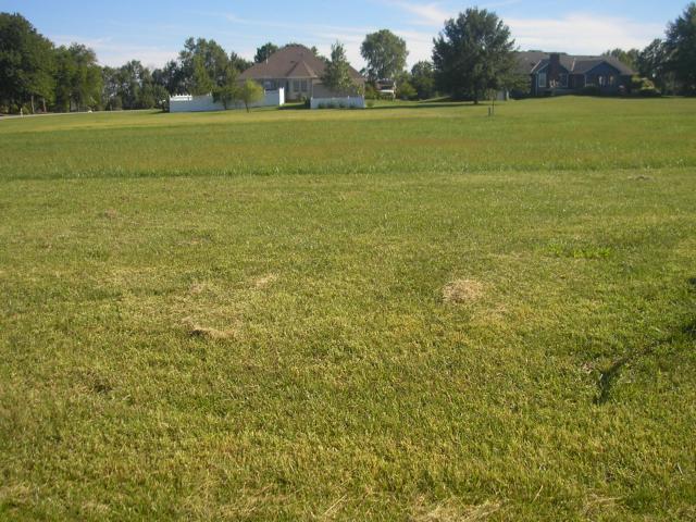 Lot 57 244th Street - Photo 1