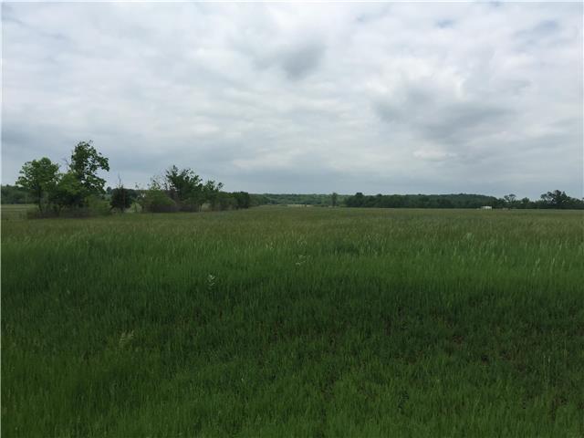 4711 Davis Lane - Photo 1