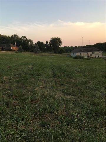 Lot 1 Franklin Avenue - Photo 1