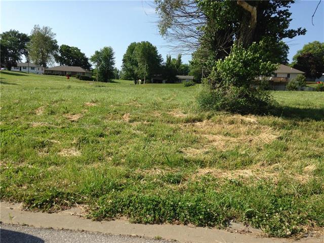 Lot 7 South Street - Photo 1
