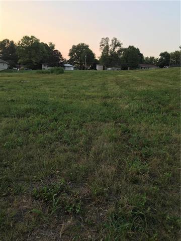 Lot 10 South Street - Photo 1