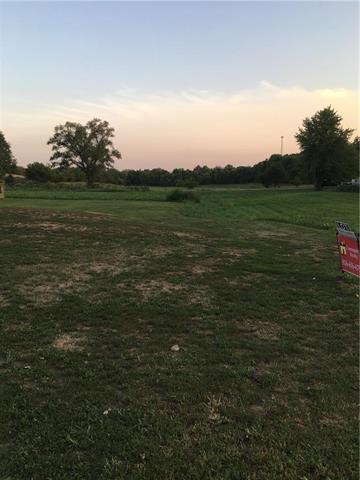 Lot 4 Franklin Avenue - Photo 1