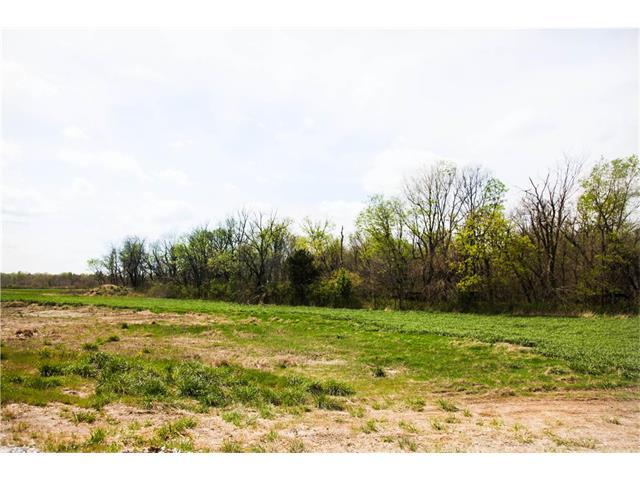 34608 Kolbi Street - Photo 1