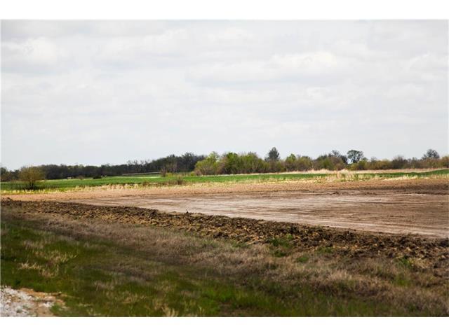 34605 Kolbi Street - Photo 1