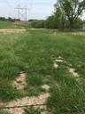 000000 132 Street - Photo 1