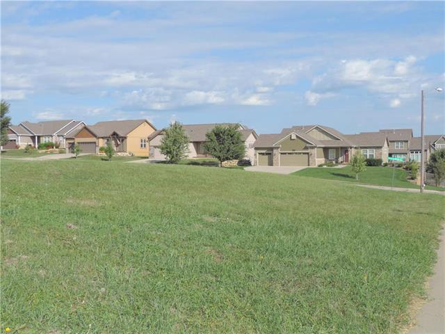 3903 Prairie Rose Road - Photo 1