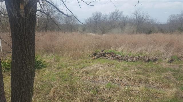 19500 Hoover Road - Photo 1