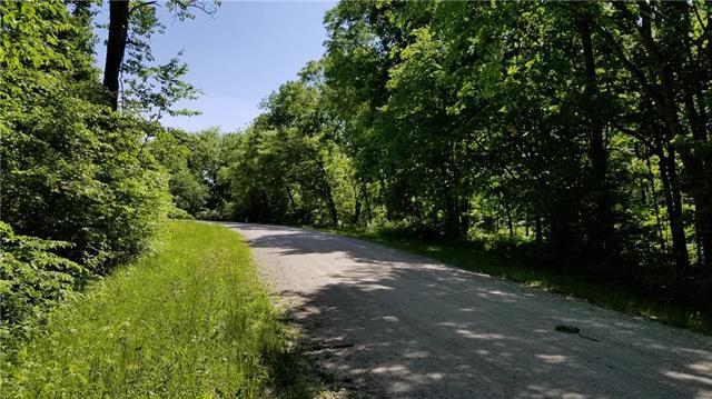 Lot 17 Meadow Lane - Photo 1