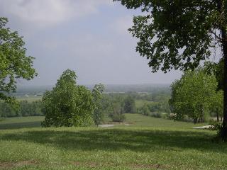 Lot 6 Walnut Bluff Road - Photo 1