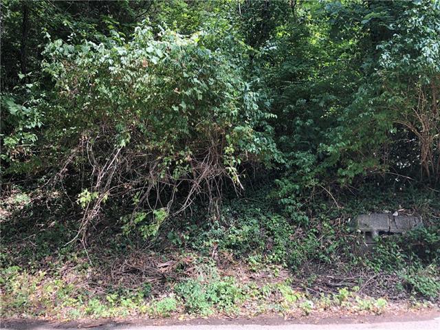 LOT 9 Liberty Street - Photo 1