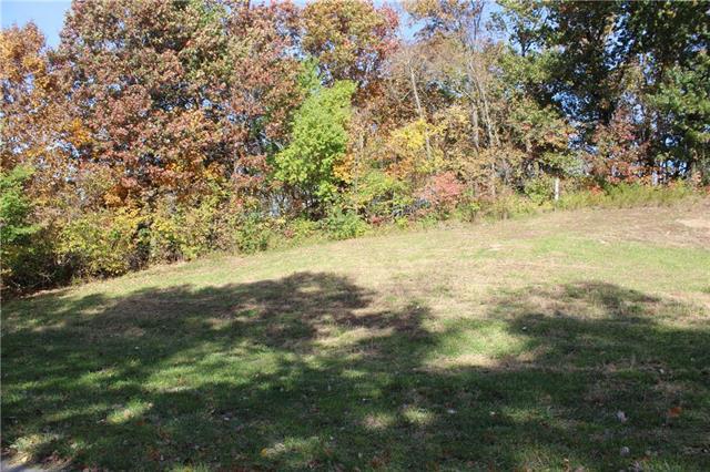 LT 135 Cedar Court - Photo 1