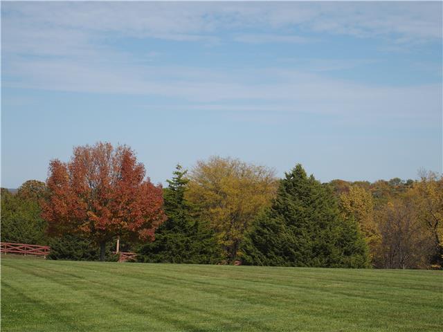 7465 Cedar Niles Road - Photo 1