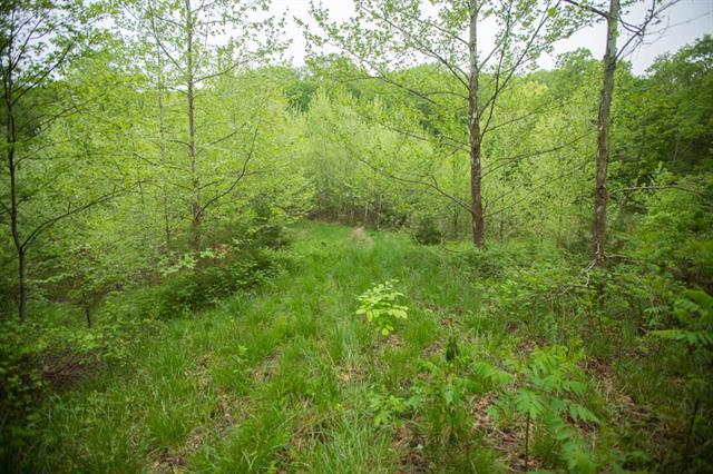 Ne 866 Road - Photo 1
