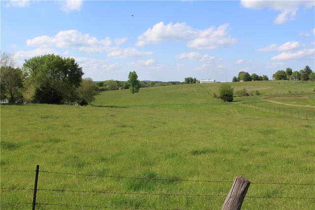 Trct 3 Honey Creek Road - Photo 1