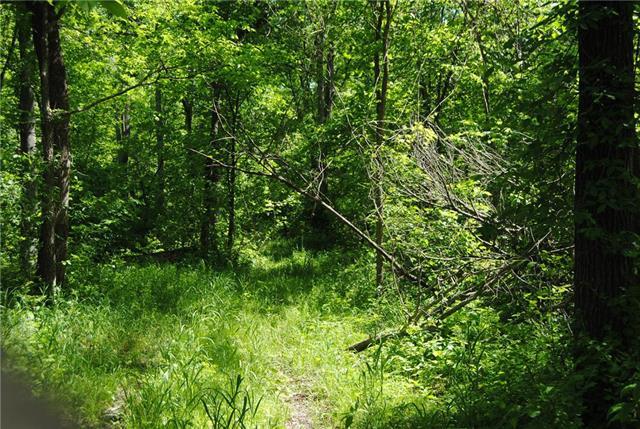 N/A 1700 Road - Photo 1