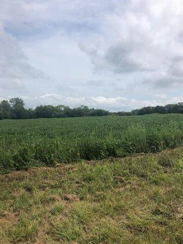 Springdale Road - Photo 1
