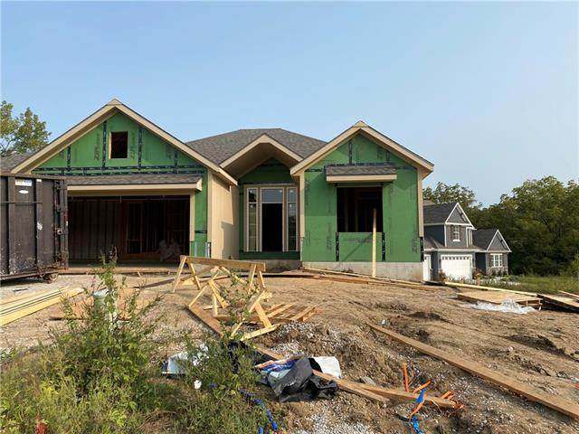 1113 Whispering Willow Way - Photo 1