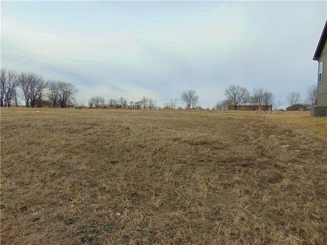 3010 Canyon Drive - Photo 1