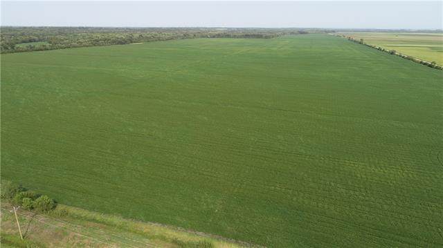 County Road 284 Road - Photo 1