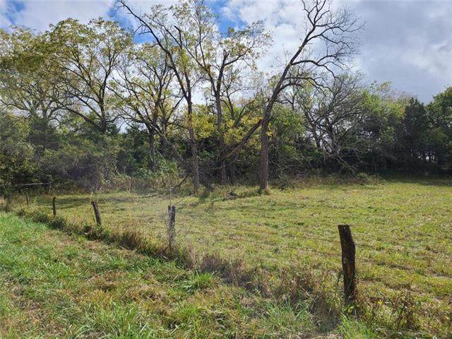 908 Hackberry Road - Photo 1