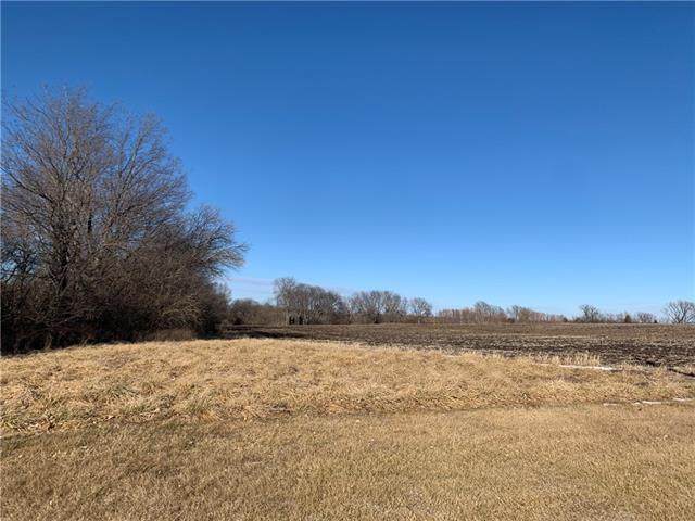 29101 Nelson Road - Photo 1
