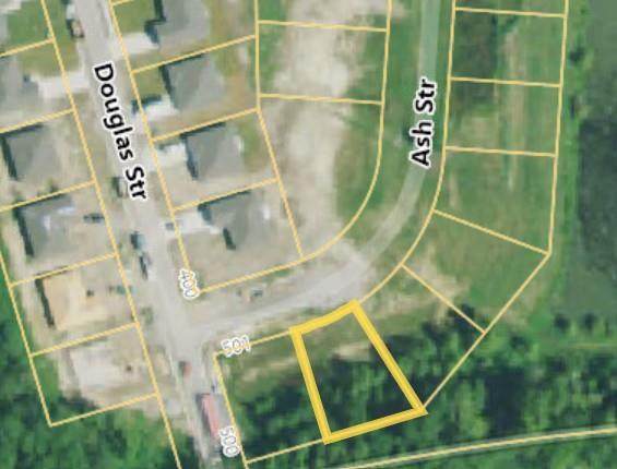 419 Ash Street - Photo 1
