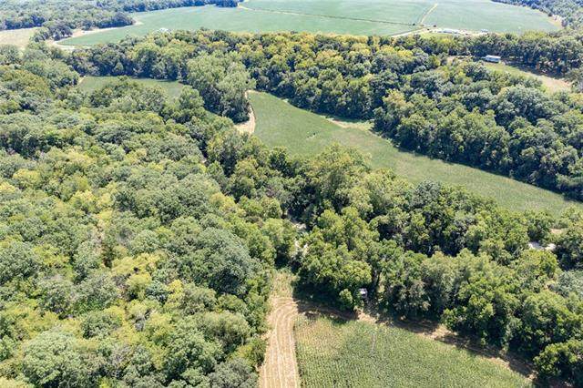 Coon Branch Road - Photo 1