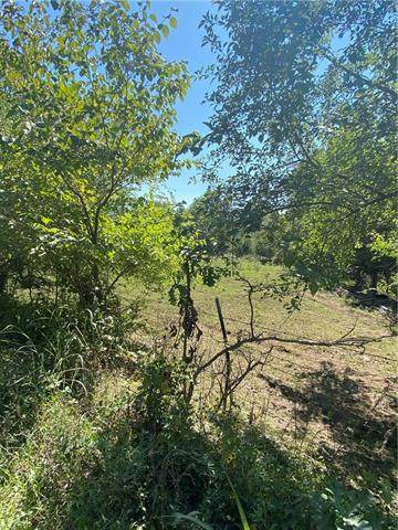 TBD Lot 3 Cleveland Avenue - Photo 1