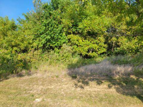 1312 Adams Dairy Road - Photo 1