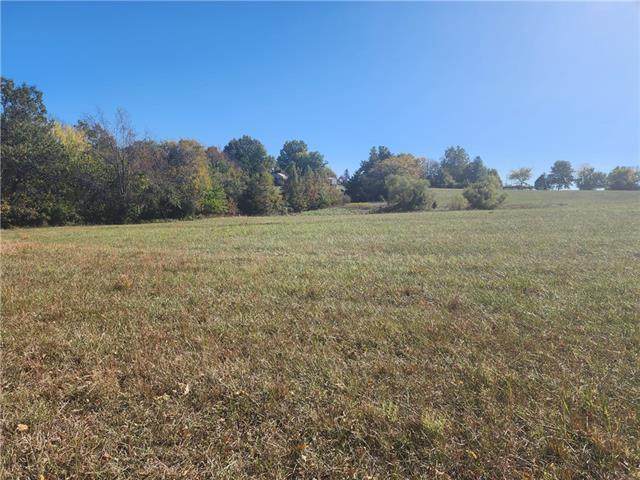 30906 Stony Point School Road - Photo 1