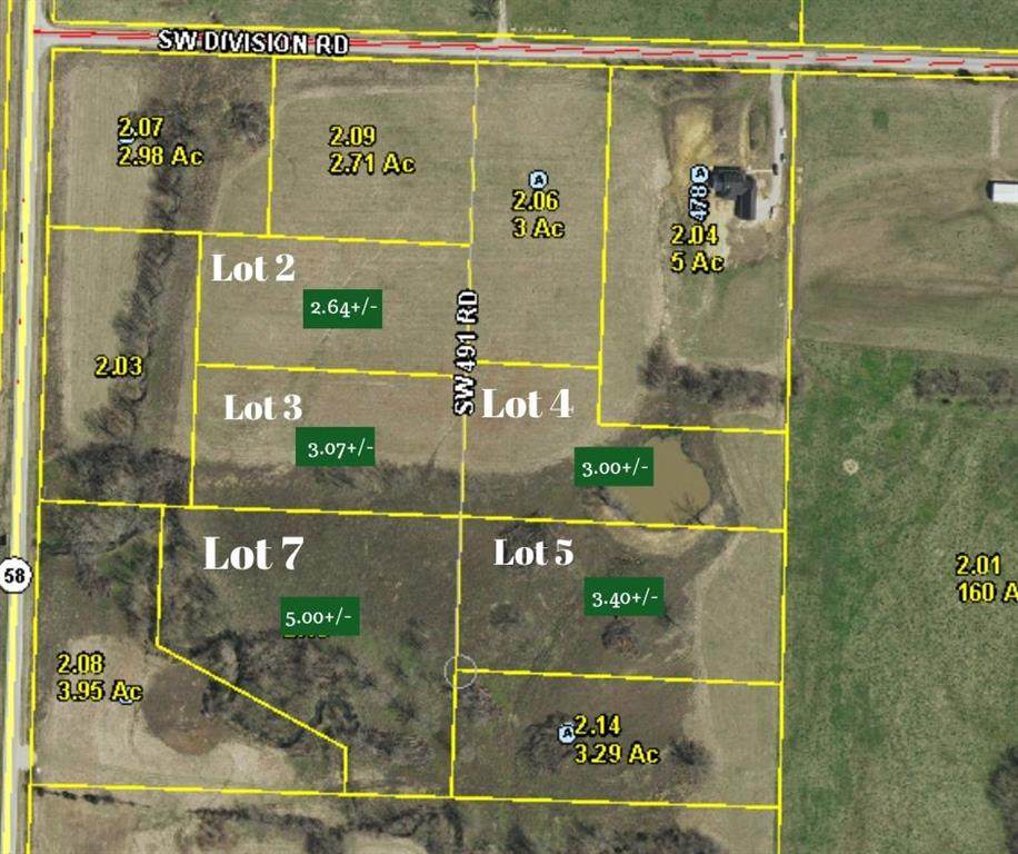 Tbd Lot 4 491st Road - Photo 1