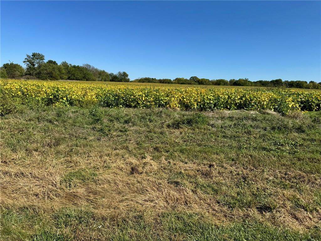  Lone Star Road - Photo 1