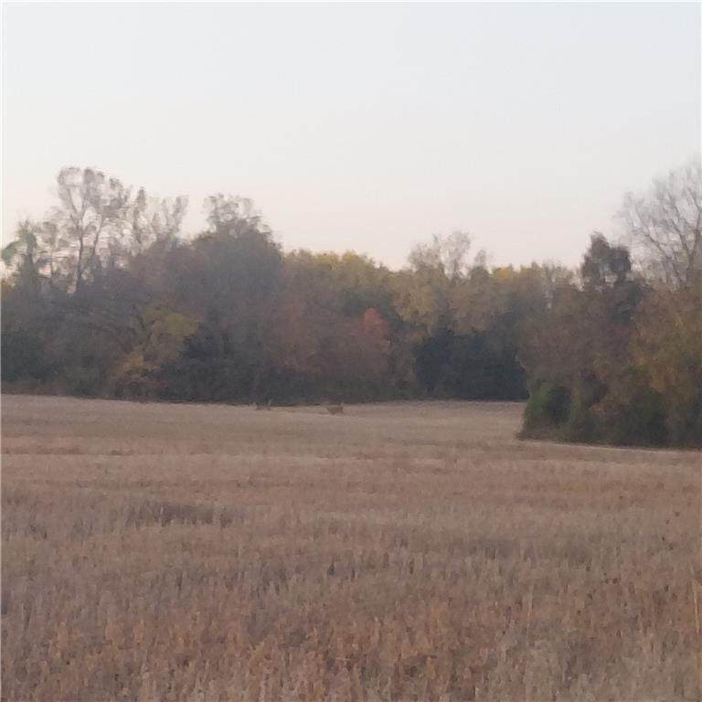 https://bt-photos.global.ssl.fastly.net/heartland/orig_boomver_1_2516858-1.jpg