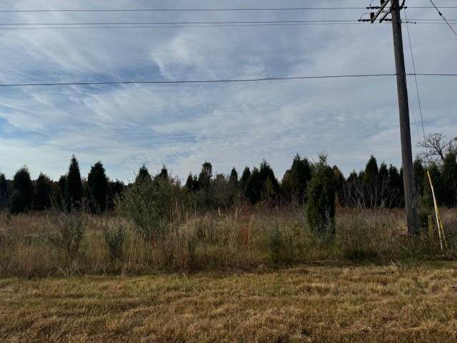 0000 Shady Lane - Photo 1