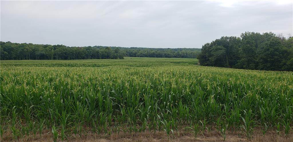 Monroe Rd 117 Road - Photo 1