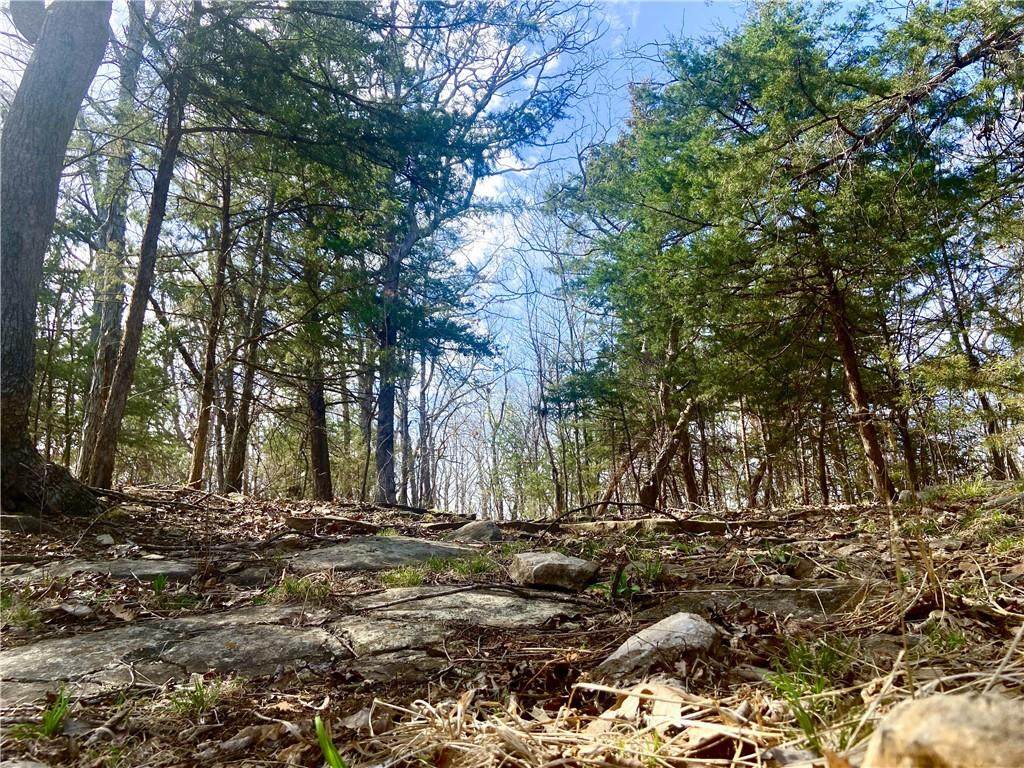 TBD 779 Road - Photo 1