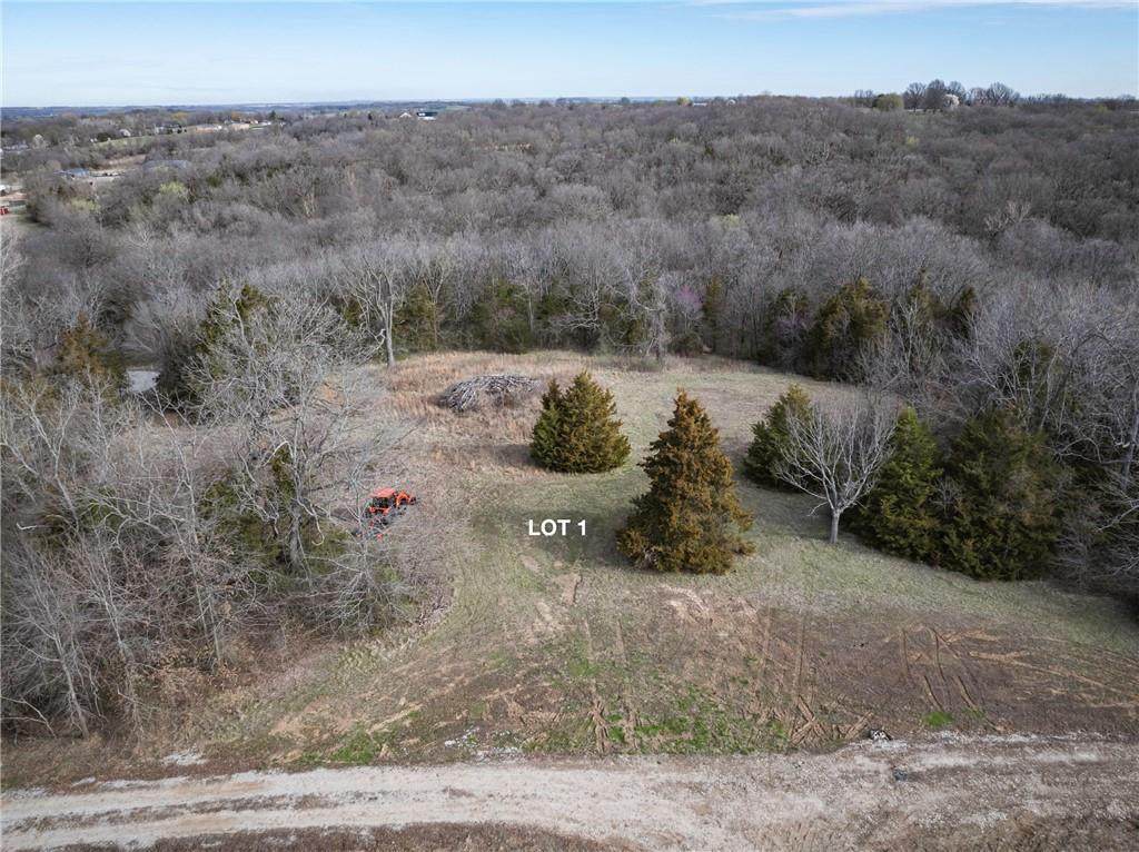 1505 Buckner Tarsney Road - Photo 1