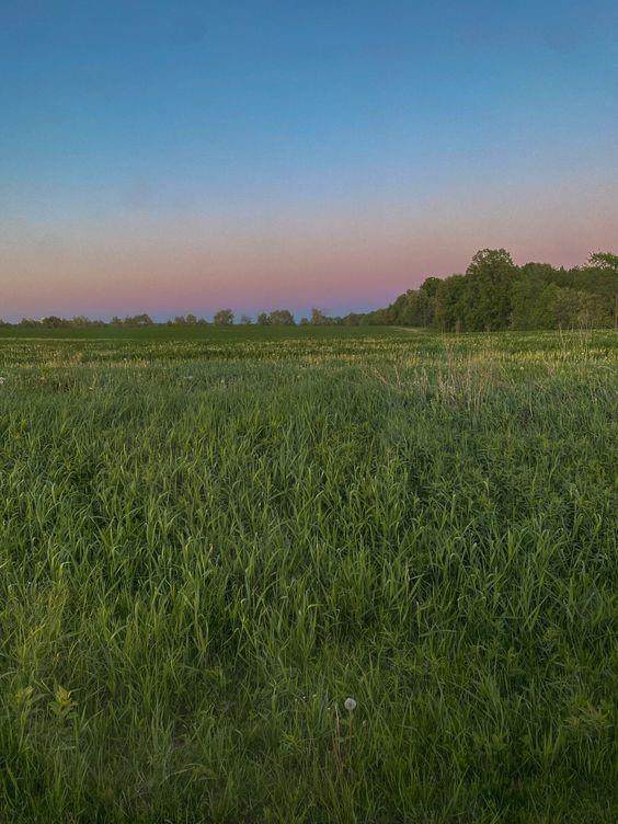Lot 1 State Route W Highway - Photo 1