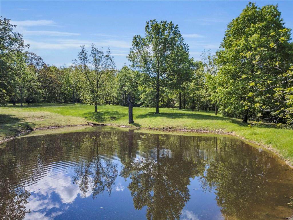 8+/- Acres Se Rattle Snake Hill Drive - Photo 1
